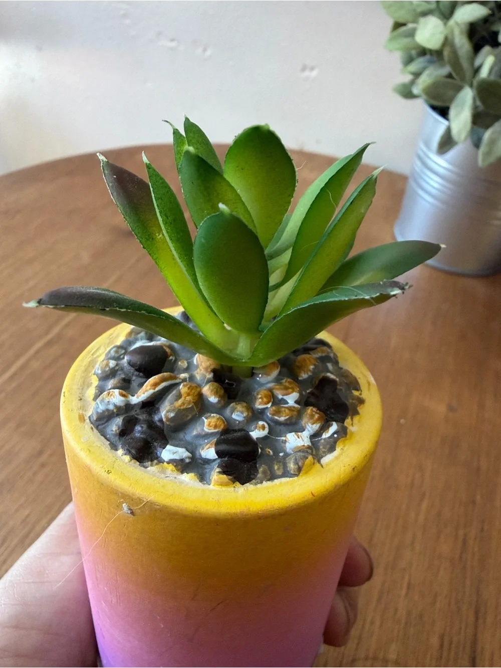 Hobby Lobby Gradient ombré Mini Succulent Planters
